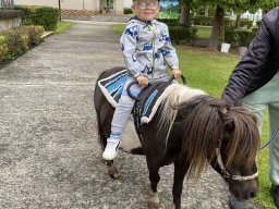 foto0019