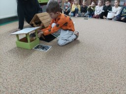 foto0123