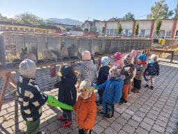 Školský rok 2025-2026 &raquo; I. LIENKY &raquo; Chovateľská výstava