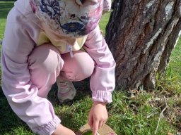 foto0011