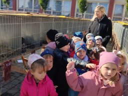 Školský rok 2025-2026 &raquo; III. MRAVČEKOVIA &raquo; Výstava zvierat