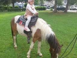 foto0049