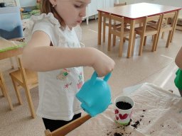 foto0076