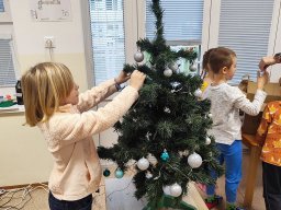 foto0242