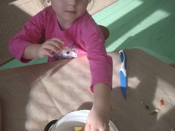 foto0006