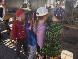 foto0011