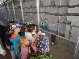 foto0012